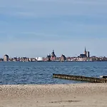 Seestern *