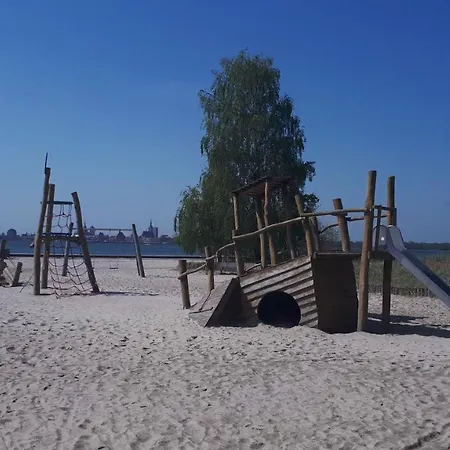 Seestern *