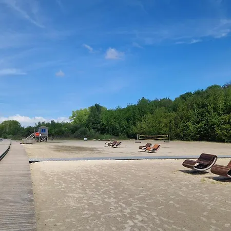 Seestern Altefähr