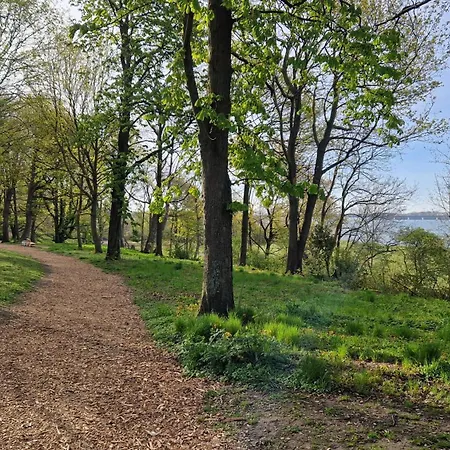 Seestern * Altefähr