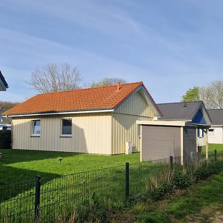 Seestern Altefähr